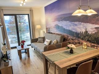 Apartment Ski&Bike Siréna-6 by Interhome - Janské Lázně - 5