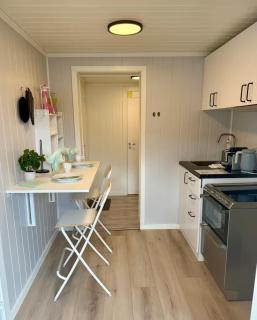 Leilighet i under etasje - Lillehammer - 7