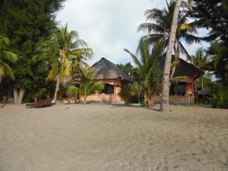 Sea World Club Beach Resort & Dive Center - Maumere - 0