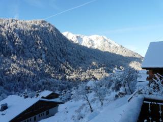 Chalet Loupnots 3P avec vue - 6