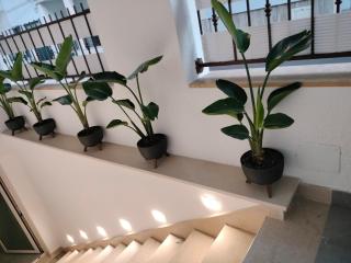 La Rosa di Antonio -Relax Room - Tricase - 5