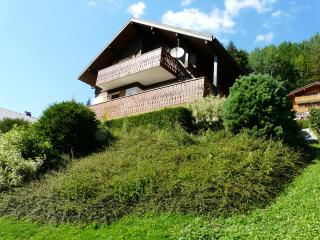 Chalet Loupnots 2P avec vue - 0