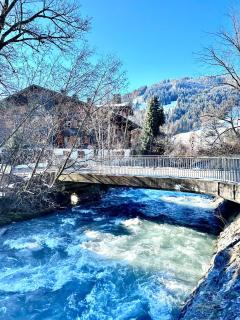 4-bedroom Chalet in the Heart of Gstaad - 6
