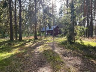 Charmig stuga nära Dammsjön - - 1
