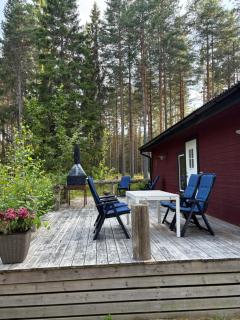 Charmig stuga nära Dammsjön - - 9