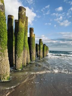 Le secret d'Opale - 8