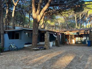 Happy Camp mobile homes in Selema Camping - 3