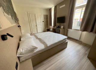 Hotel Evropa - Celje - 4