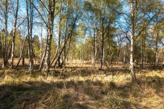 Ostsee - Pruchten - 6