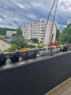 Astrie - Braunau am Inn - 1