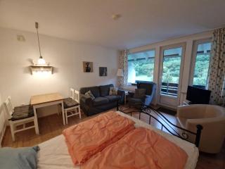 Ferienappartements Haus Jörn - Walkenried - 3