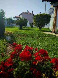 BLUE HOUSE - 7