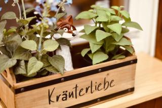 Fuchsbau Voßwinkel - Arnsberg - 3