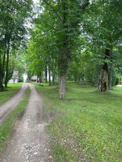 Lauku viesu māja Bajāri - Rucava - 8