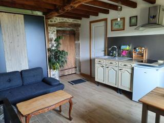 gîte les Libellules - Saint-Salvy-de-la-Balme - 7