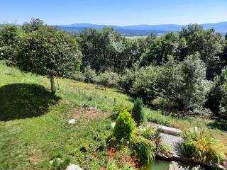 gîte les Libellules - Saint-Salvy-de-la-Balme - 5