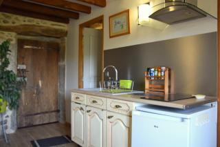 gîte les Libellules - Saint-Salvy-de-la-Balme - 2