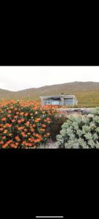 Barber's Trail Lodge - Modern Comfort, Wild Beauty - Hartebeesrivier - 9