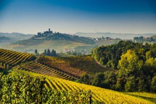 Vacanza Nel Cuore Del Monferrato - Rocca Grimalda - 9