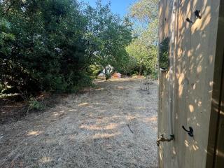 L Instant Nature - 1