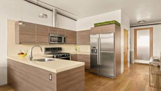 Modern Loft Style Condo with Mt Sopris Views - 3