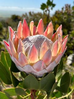 Barber's Trail Lodge - Modern Comfort, Wild Beauty - Hartebeesrivier - 7