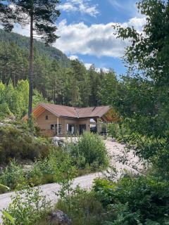 Furuheim Lodge, 4 seizoenen vakantiehuis met fantastisch uitzicht - 8