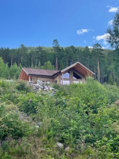 Furuheim Lodge, 4 seizoenen vakantiehuis met fantastisch uitzicht - Vradal - 7