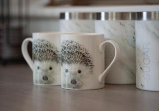 Hedgehog Cottage - 9