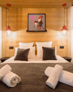 TERRESENS - L'Eclat des Veriaz - Megève - Praz-sur-Arly - New - 7