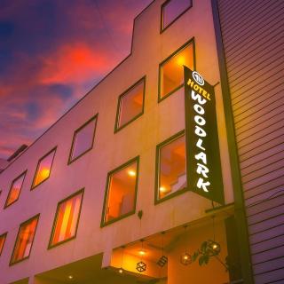 Hotel Woodlark Zirakpur II A Peaceful Stay I Travelers Choice I Best for Family and Group - Chandīgarh - 5