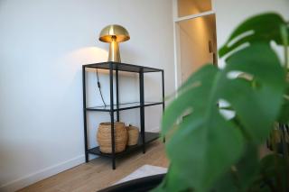 Cosy 1BR apartment - Antwerp - 4