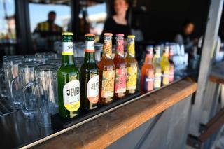 Tiny House Pioneer 1 - Green Tiny Spot Schillig - Wangerland - 8