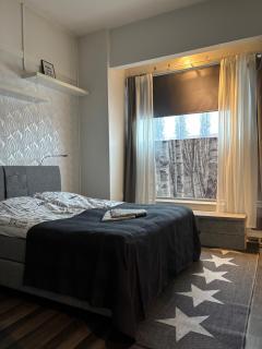 Hungerborg City Home - Savonlinna - 4