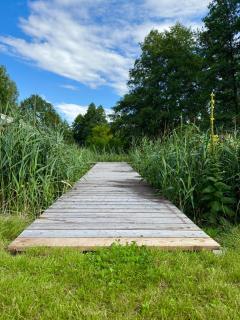Domy nad Strugą - jacuzzi, las, wieś, rowery, kajaki - - 7