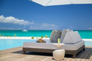 Palm- and pond-filled courtyard with ocean views villa - - 4