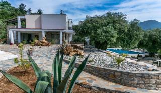 Ipsario Garden Hotel - Skala Potamias - 0