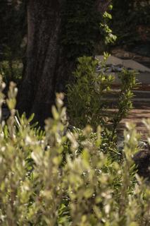 La Maison des Ducs - 8