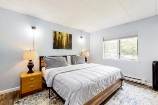 5B Mountain Village- Unit B - Dover - 7