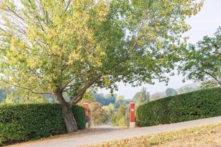 LitrPina Home - Pontecchio - 5