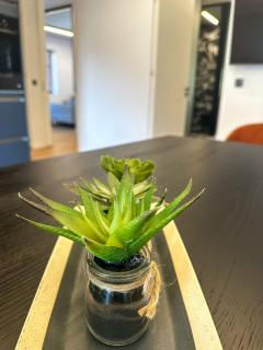 Eipprova deluxe apartment - Rove - 3