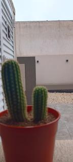 Descanso en el Sur - 4