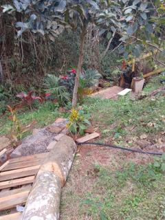 perfume da mata caparaó - 1