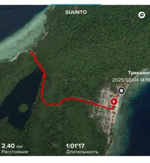 Moana Raja Ampat Homestay - - 5