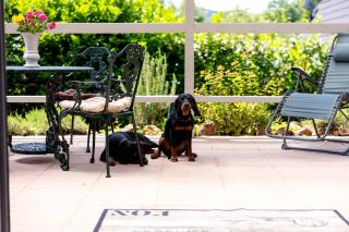 Roter Fuchsbau am Eichwald - 8