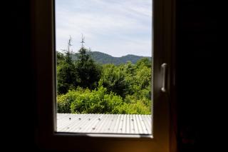 Roter Fuchsbau am Eichwald - 6