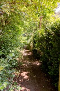 Roter Fuchsbau am Eichwald - 3