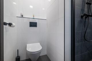 Klid u lesa 15 min od centra - Výškovice - 5