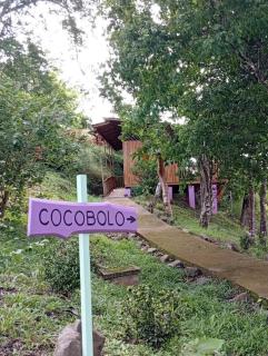 Finca Colibri Ecolodges en Pleine Nature ferry Playa Najanjo Costa Rica - Cabo Blanco - 6