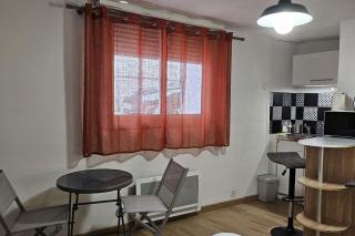 Studio near the city center - 5